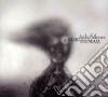 In The Silence - A Fair Dream Gone Mad cd