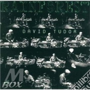 Tudor, D. - Rainforest Version I/slid cd musicale di David Tudor