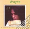 Wayra - A Collection Of Contemporary And Native American Themes cd