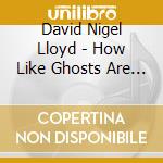 David Nigel Lloyd - How Like Ghosts Are We cd musicale di David Nigel Lloyd