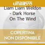 Liam Liam Weldon - Dark Horse On The Wind cd