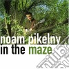 Noam Pikelny - In The Maze cd