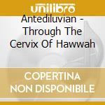 Antediluvian - Through The Cervix Of Hawwah cd