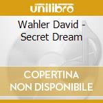 Wahler David - Secret Dream cd musicale di Wahler David