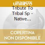 Tribute To Tribal Sp - Native American Dream
