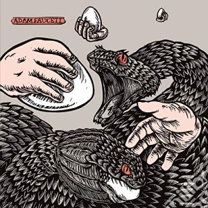 Adam Faucett - It Took The Shape Of A Bird cd musicale di Adam Faucett