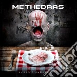 Methedras - System Subversion