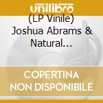 (LP Vinile) Joshua Abrams & Natural Inform - Simultonality