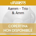 Aamm - Trio & Amm cd musicale di Aamm