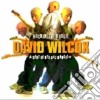 David K. Wilcox - Rockin' The Boogie cd