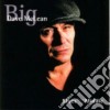 Big Dave Mclean - Blues From The Middle cd