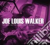 Joe Louis Walker - The Best Of cd
