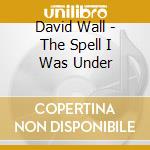 David Wall - The Spell I Was Under cd musicale di David Wall