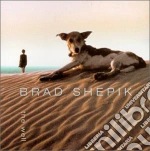 Brad Shepik - The Well cd