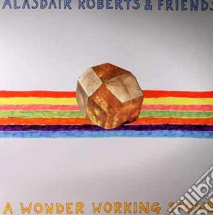 (LP Vinile) Alasdair Roberts And Friends - A Wonder Working Stone (2 Lp) lp vinile di Alasdair roberts & f