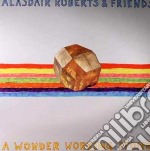 (LP Vinile) Alasdair Roberts And Friends - A Wonder Working Stone (2 Lp)