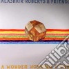 (LP Vinile) Alasdair Roberts And Friends - A Wonder Working Stone (2 Lp) cd