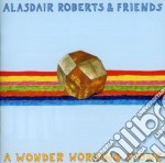 Alasdair Roberts And Friends - A Wonder Working Stone
