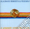 Alasdair Roberts And Friends - A Wonder Working Stone cd