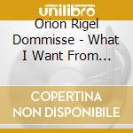 Orion Rigel Dommisse - What I Want From You Is Sweet cd musicale di ORION RIGEL DOMMISSE
