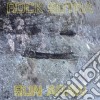 (LP Vinile) Sun Araw - Rock Sutra cd