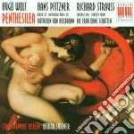 Wolf / Pfitzner / Strauss / Penthesilea cd