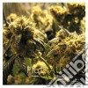 Plateau - Kushbush / Music For Grass Bars (2 Cd) cd