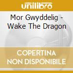 Mor Gwyddelig - Wake The Dragon cd