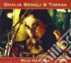 Ghalia Benali & Timnaa - Wild Harissa cd