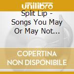 Split Lip - Songs You May Or May Not Have Heard cd
