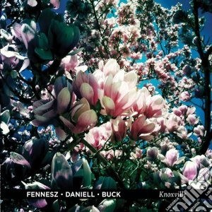 (LP Vinile) Fennesz / Daniell / Buck - Knoxville lp vinile di Fennesz/daniell