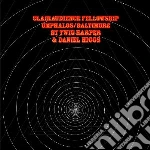 (LP Vinile) Twig & Higgs - Clairaudience Fellowship vinile