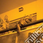 (LP Vinile) Sam Prekop - Republic vinile