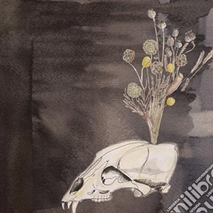 (LP Vinile) Black Twig Pickers / Steve Gunn - Seasonal Hire lp vinile di Steve/black tw Gunn