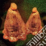 (LP Vinile) Black To Comm - Oocyte Oil & Stolen Androgens vinile