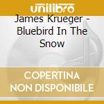 James Krueger - Bluebird In The Snow cd