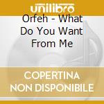 Orfeh - What Do You Want From Me cd musicale di Orfeh