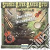 Stones River Ranch Boys - Down Home Instrumentals 1 cd