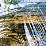 (LP Vinile) Dogs On Acid - Dogs On Acid vinile