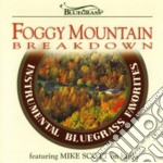 Mike Scott - Foggy Mountain Breakdown