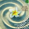Simonetta Camilletti - Fede Cuore Gioia (2 Cd) cd
