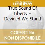 True Sound Of Liberty - Devided We Stand cd