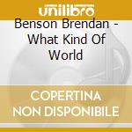 Benson Brendan - What Kind Of World cd musicale di Benson Brendan