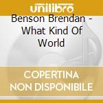 Benson Brendan - What Kind Of World cd