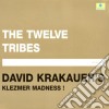 David Krakauer - The Twelve Tribes cd