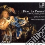 T?net, ihr pauken! - cantate profane bwv cd