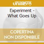 Experiment - What Goes Up cd