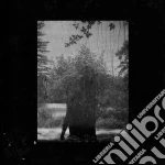 Grouper - Ruins cd