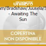 Aberdam/Bradshaw/Juusela/Schmitz - Awaiting The Sun cd