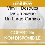 Vinyl - Despues De Un Sueno Un Largo Camino cd